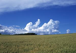静岡県富士宮市の家族葬専門斎場｜家族葬のタクセル光町の特徴と料金プラン