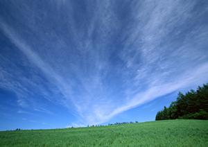 403 Forbiddenエラー解決ガイド：原因から対処法まで詳しく解説