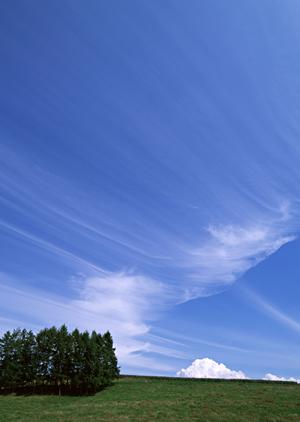 静岡市の信頼できる葬儀・家族葬・火葬サービス：家族葬のタクセルの詳細と特徴