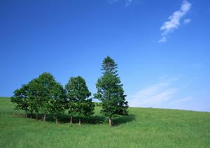 浜松市中央区の安心・信頼の葬儀サービス｜富士葬祭 高林の特徴と店舗情報