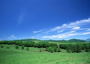 静岡県藤枝市にある信頼の葬儀場【富士葬祭 藤枝】の全て