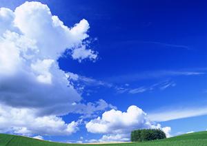 静岡県浜松市の家族葬専門斎場｜家族葬のタクセル佐鳴台の特色と安心サポート