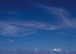 静岡市清水区に在宅葬儀から大規模葬儀まで対応可能な富士葬祭の詳細と特徴