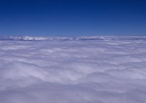 鹿児島でNPO活動を成功させるための最新戦略2025年版